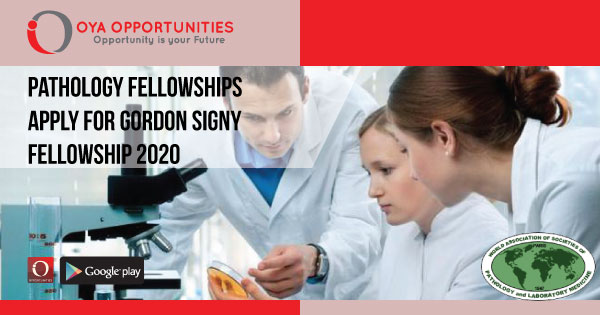 Pathology Fellowships | Apply For Gordon Signy Fellowship 2020