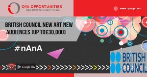 British Council New Art New Audiences (up to£30,000)