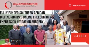 Fully Funded Southern African Digital Rights & Online Freedom of Expression Litigation Surgery