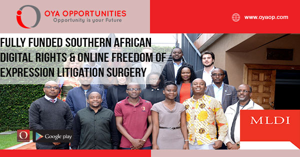 Fully Funded Southern African Digital Rights & Online Freedom of Expression Litigation Surgery