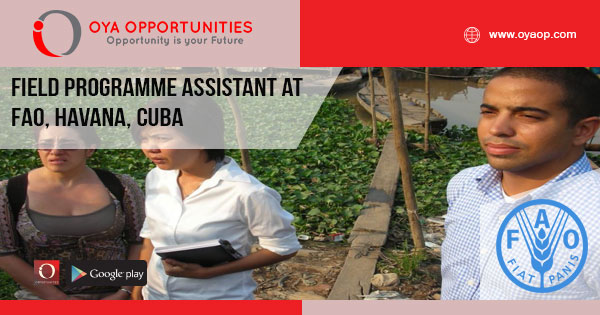Jobs at FAO in Cuba
