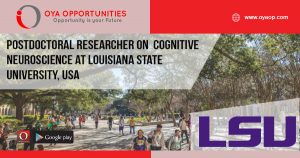 Academic Jobs in Louisiana USA