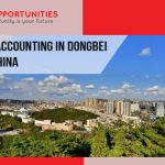 Lecturer of Accounting in Dongbei University, China