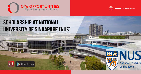 Scholarship at National University of Singapore (NUS)
