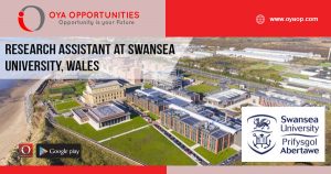 Research Research Assistant at Swansea University, Wales