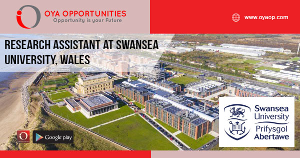 Research Research Assistant at Swansea University, Wales