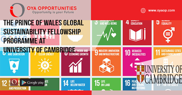 The Prince of Wales Global Sustainability Fellowship Programme at University of Cambridge (Funded)
