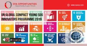 UN Global Compact Young SDG Innovators Programme 2019