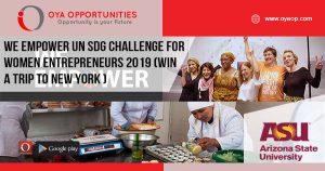 WE Empower UN SDG Challenge for Women Entrepreneurs 2019 (Win a trip to New York during UN Global Goals week)