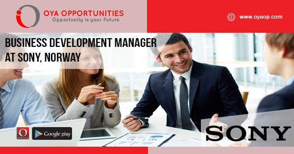 Business Development Manager Jobs at Sony, Oslo, Norway