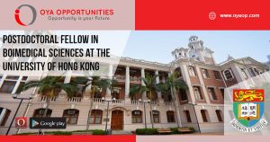 Postdoctoral fellow at Boimedical Sciences at the University of Hong Kong