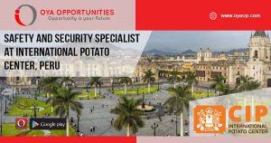 Safety & Security Specialist at International Potato Center, Peru