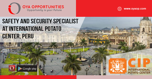 Safety & Security Specialist at International Potato Center, Peru