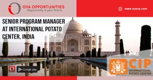 Senior Program Manager at International potato Center, India