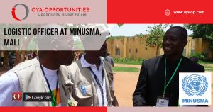 Logistic Officer at MINUSMA, Mali