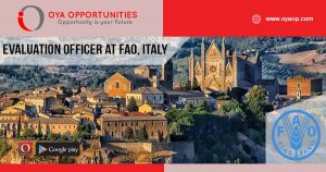 Jobs in Food and Agricultural Organization, Italy
