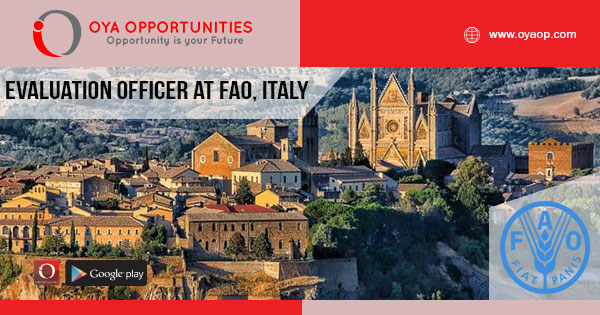 Jobs in Food and Agricultural Organization, Italy