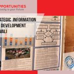International Jobs in Africa