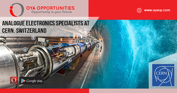 Analogue Electronics Specialists at CERN, Switzerland