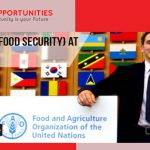 Economists (Food Security) Jobs at FAO, Italy