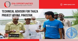 Technical Advisor jobs at FAO, Pakistan