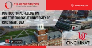 Academic Jobs at Univesity of Cincinnati