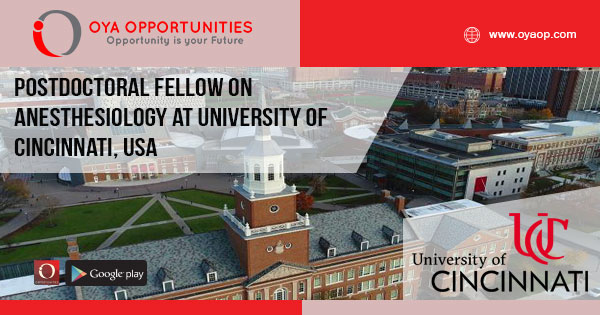 Academic Jobs at Univesity of Cincinnati