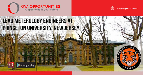 Jobs about Princeton University in USA