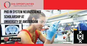 PhD in System Neuroscience Scholarship at University of Amsterdam