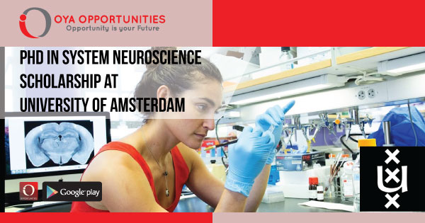 PhD in System Neuroscience Scholarship at University of Amsterdam