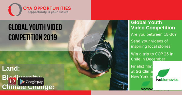 Global Youth Video Competition 2019