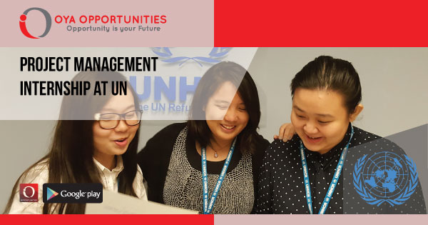 Project Management Internship at UN
