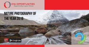 Nature Photographer of the Year 2019