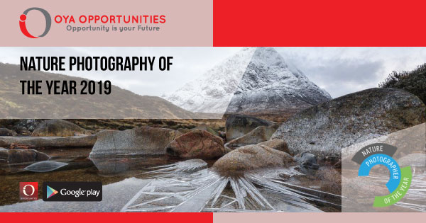 Nature Photographer of the Year 2019