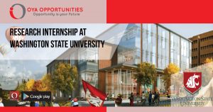 Research Internship at Washington State University