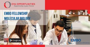 Apply for EMBO fellowship in Molecular Biology for competitive benefits