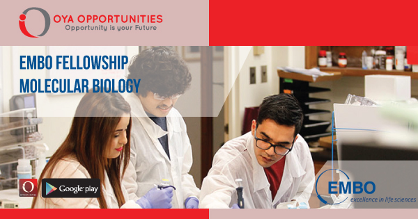 Apply for EMBO fellowship in Molecular Biology for competitive benefits