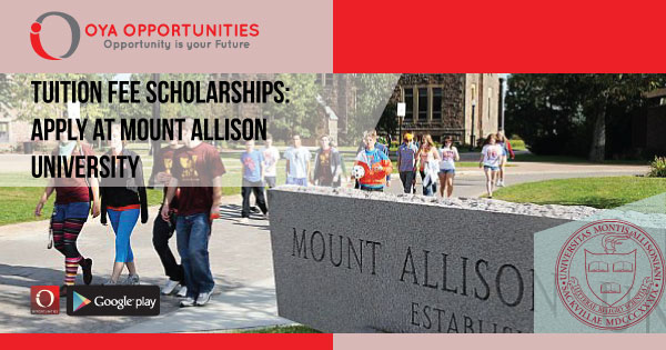 Tuition Fee Scholarships | Apply at Mount Allison University