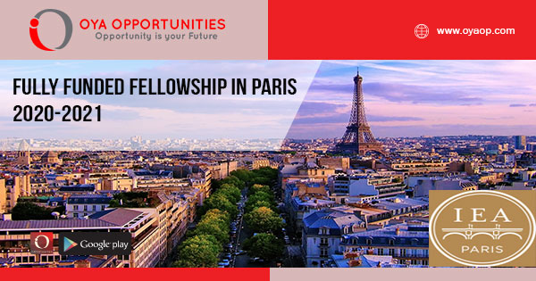 Fully Funded Fellowship in Paris 2020-2021
