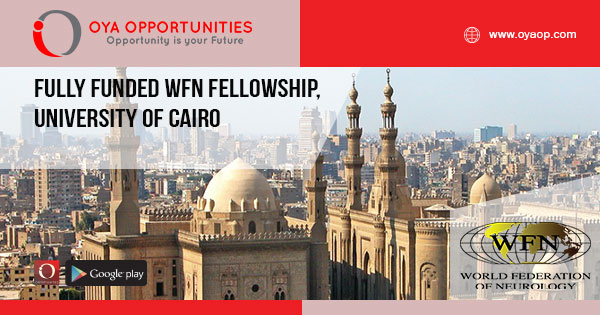 Fully Funded WFN Fellowship, University of Cairo