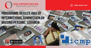 IGO Jobs in Lebanon