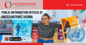 UN Jobs in Vienna