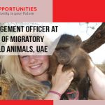 UN Jobs in UAE