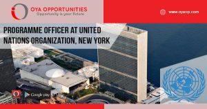 Job vacancies at UN