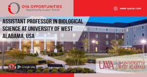 Jobs at university of alabama, USA