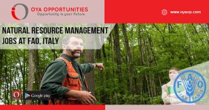 Natural Resource Management Jobs at FAO, Italy