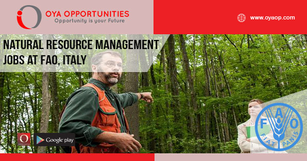 Natural Resource Management Jobs at FAO, Italy