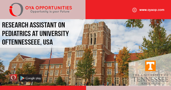 Jobs at the University of Tennessee, USA