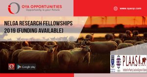 NELGA research fellowships 2019 (Funding Available)