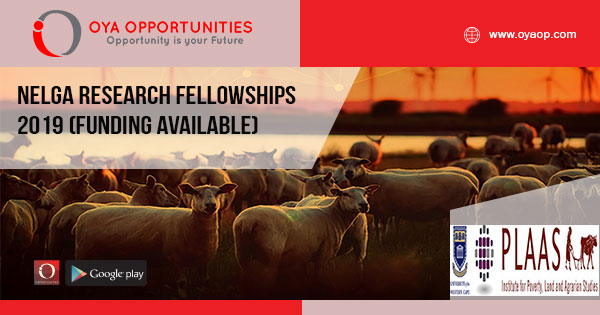 NELGA research fellowships 2019 (Funding Available)